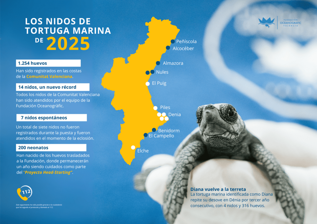 Expansión reciente de las zonas de anidación de la tortuga boba en el Mediterráneo