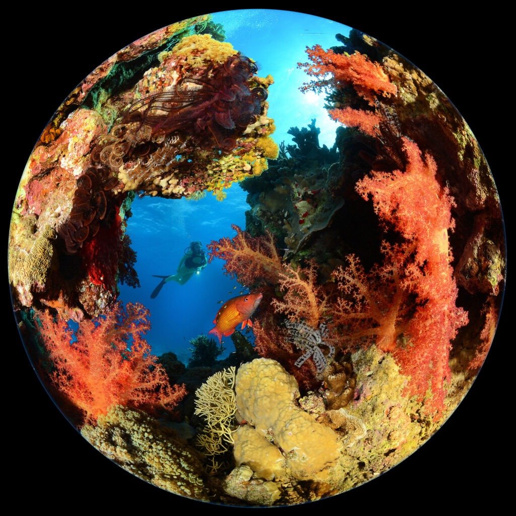 SeaGardenWorld-STEFANO PROAKIS ITALIA (2)