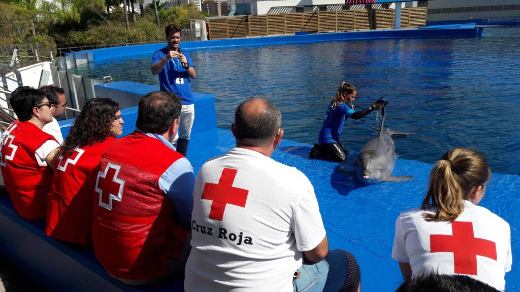 Curso en el delfinario