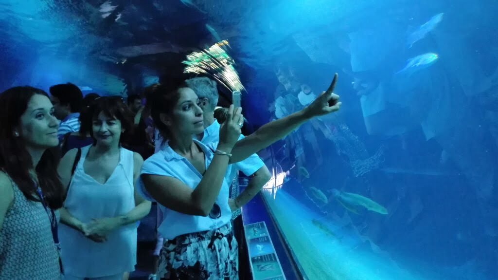 Periodistas de Toulouse visitan el Oceanografic