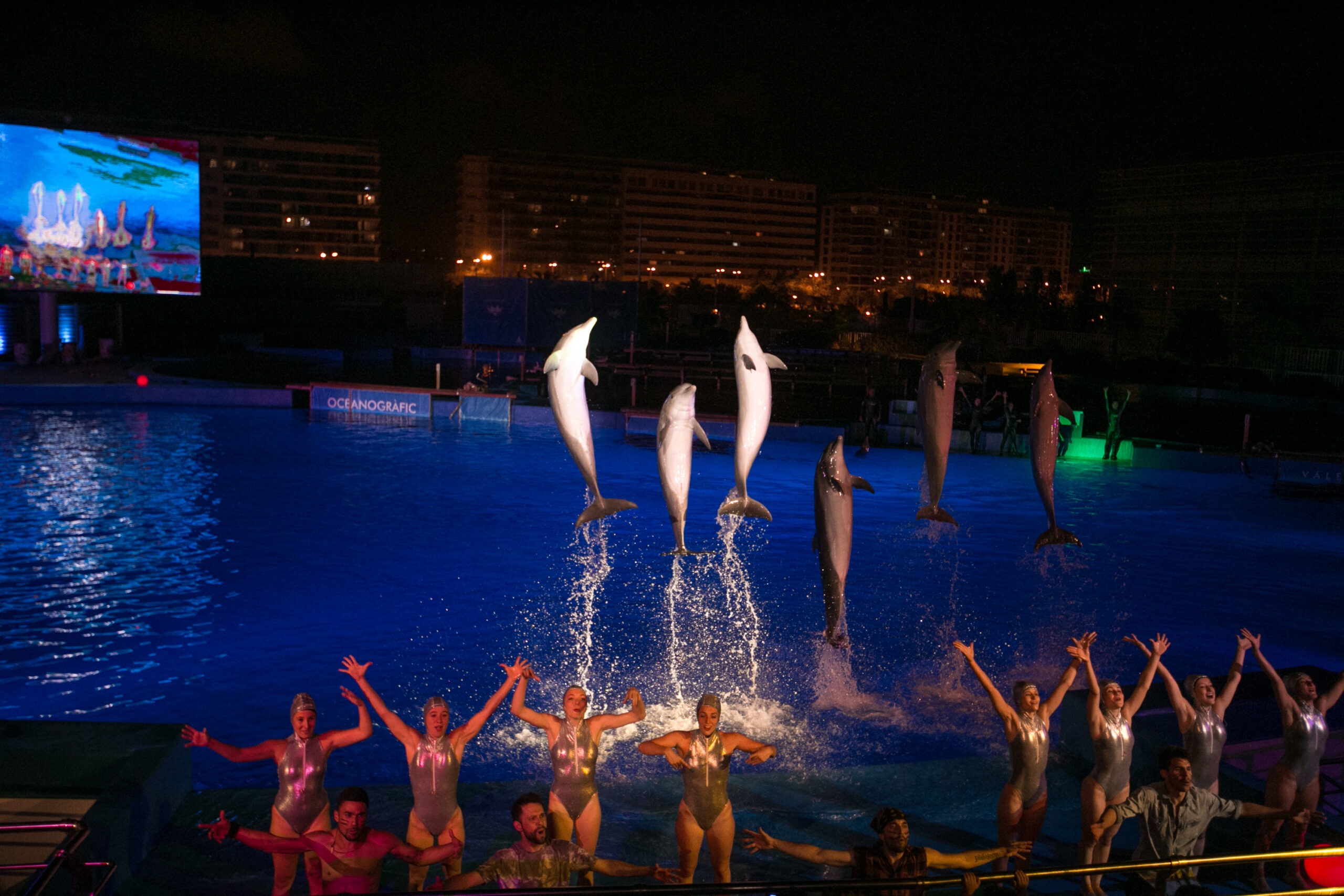 Nadadores, bailarines y delfines durante Las Noches