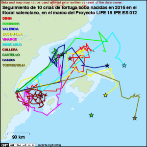 Plano de seguimiento de tortugas