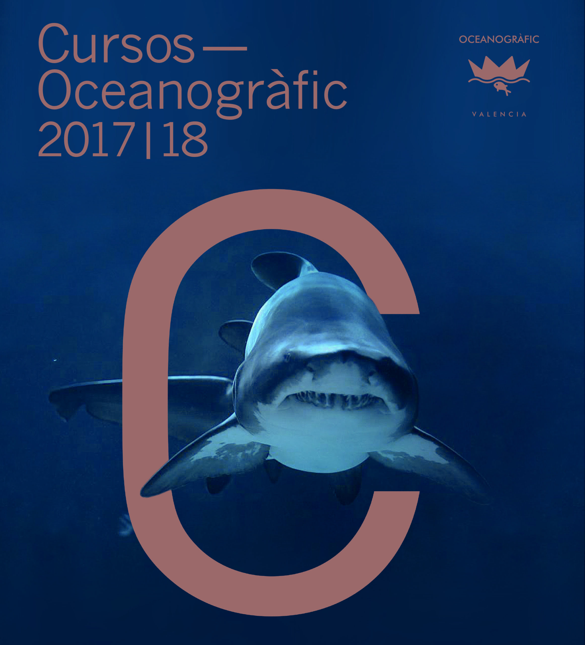 curso de tiburones