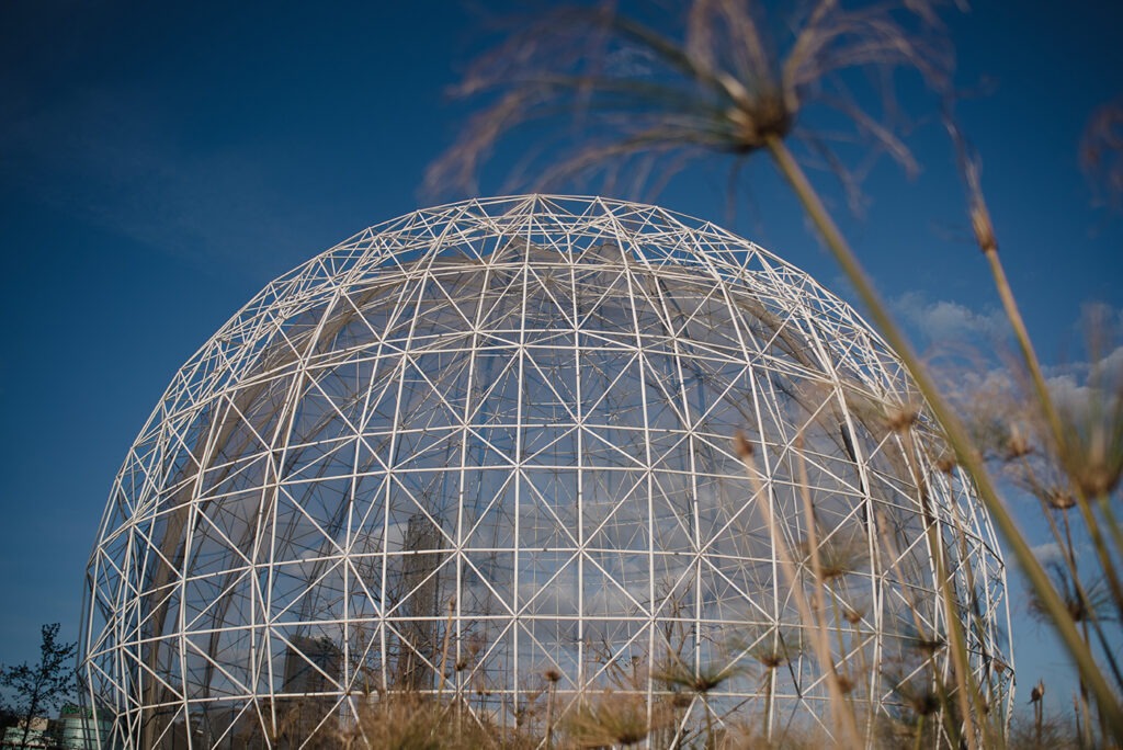 Wetlands / Aviary