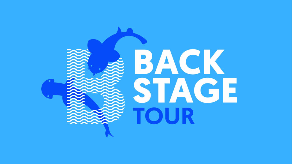 Backstage Tour – L’altro lato dell’acquario