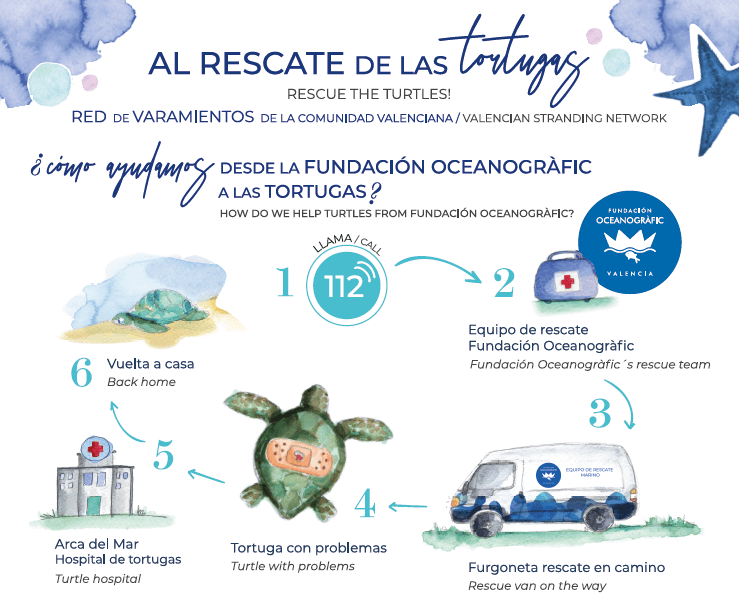 rescate tortugas