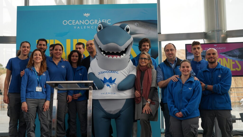 El Oceanogràfic se consolida como el acuario con mayor número de ...