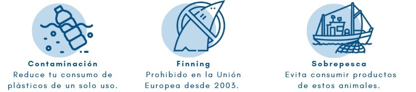 amenazas del tiburón gris