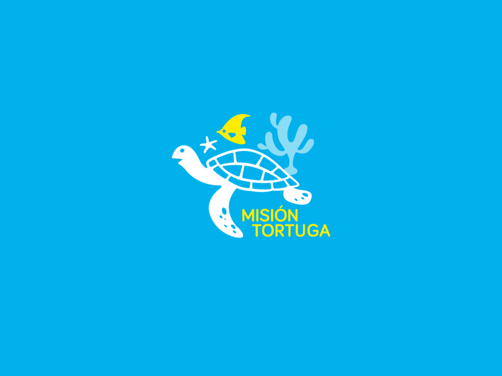 Escuela de Verano 2023
