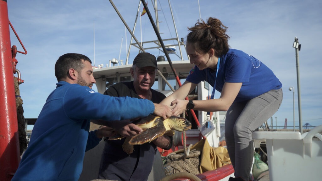 Pescadores colaboran en el rescate de una tortuga marina en peligro de extinción