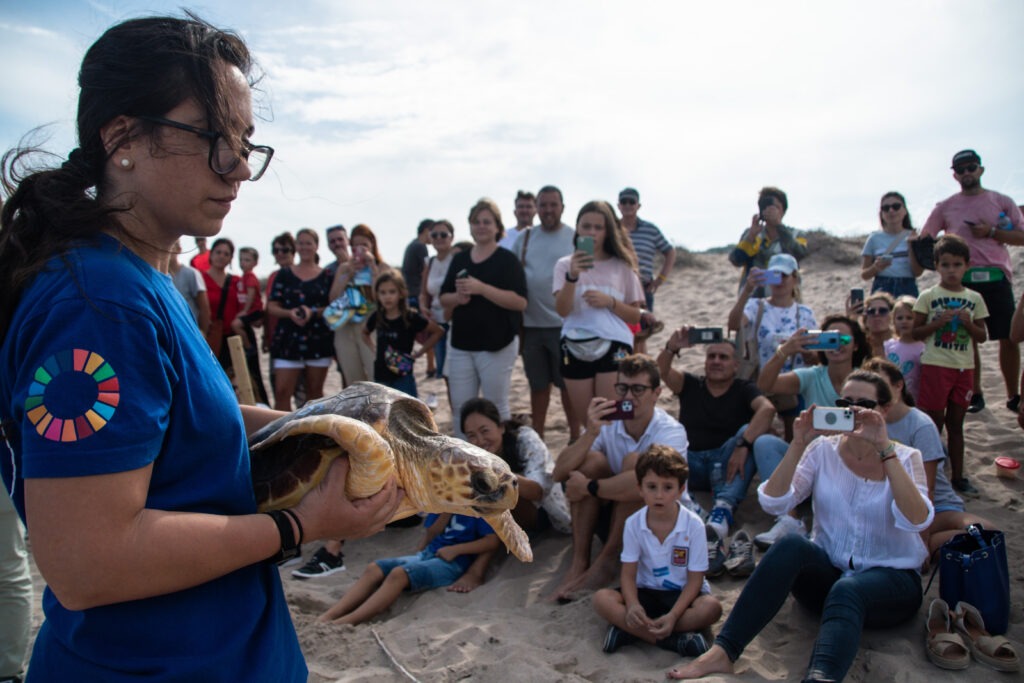 Suelta de tortugas 