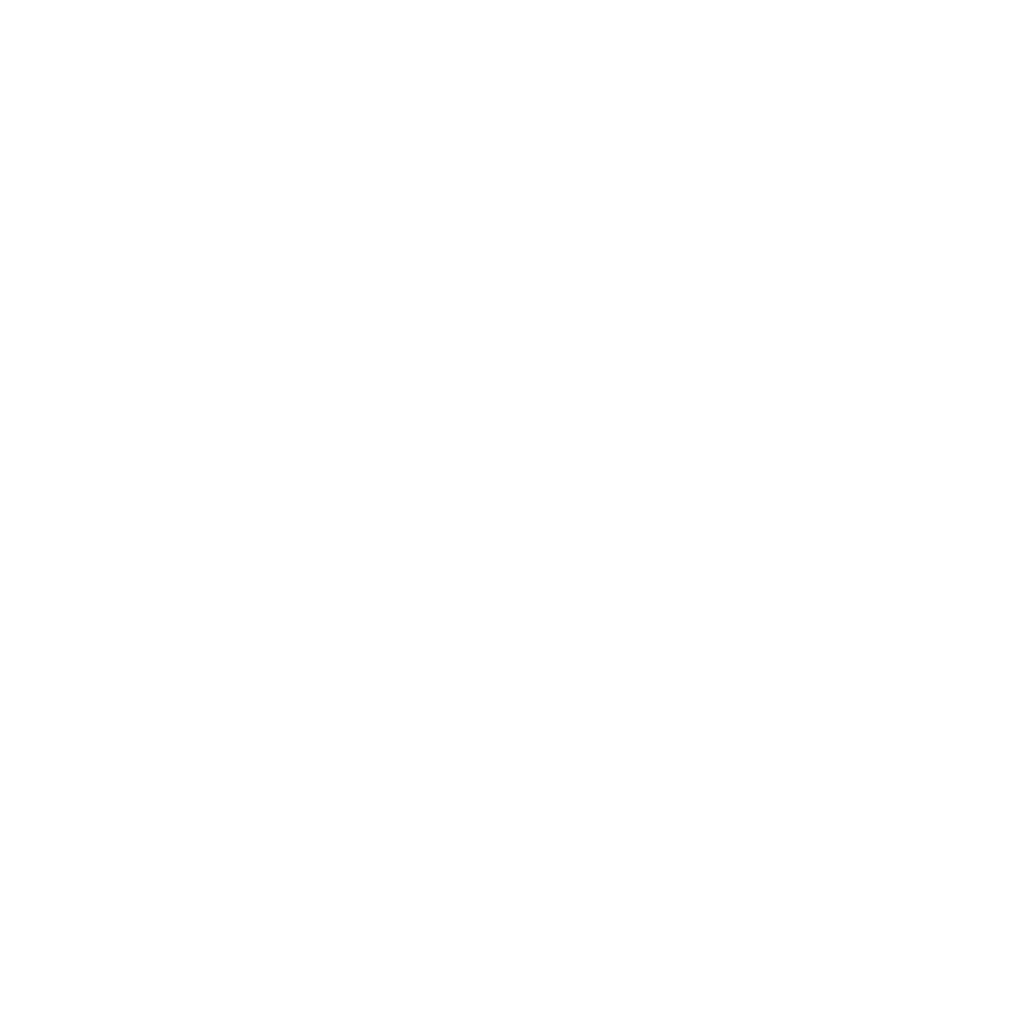 Presentación de delfines