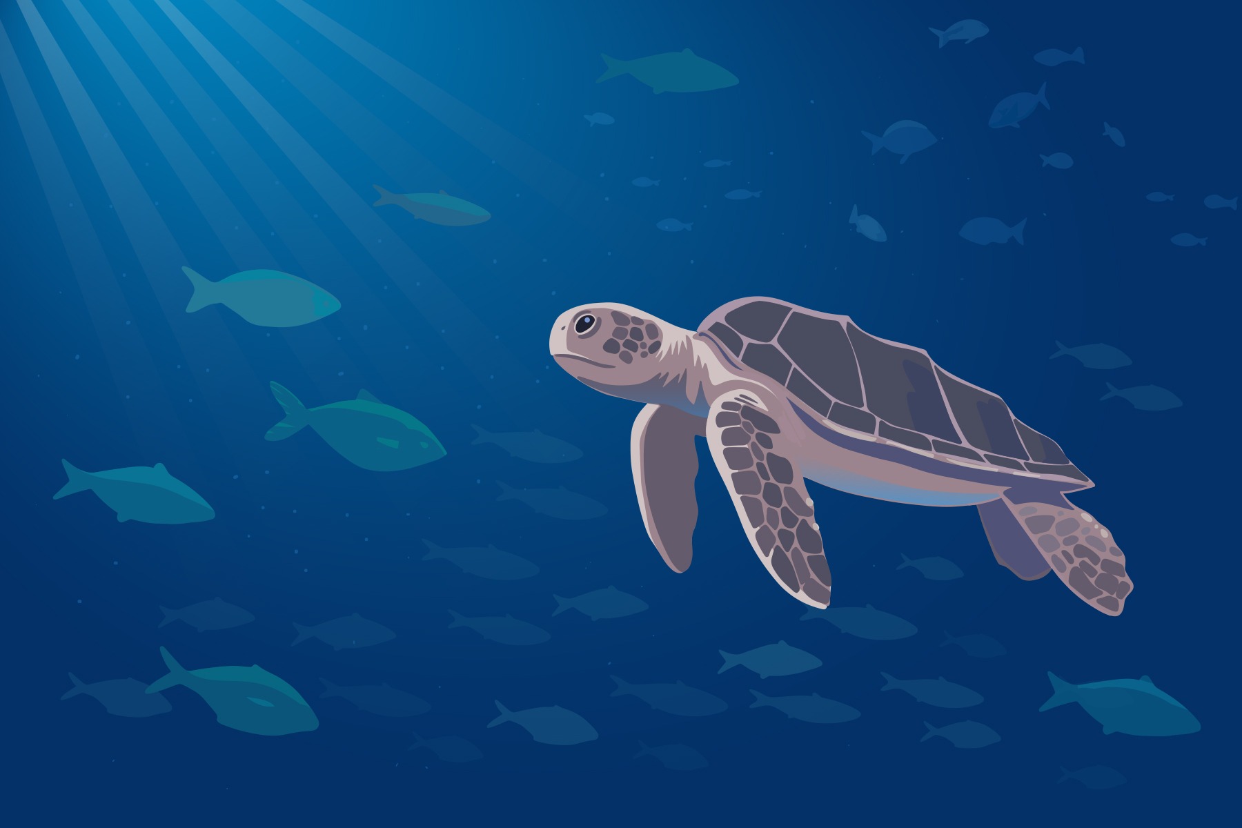 Tortuga marina con síndrome de descompresión atendida en el Oceanogràfic