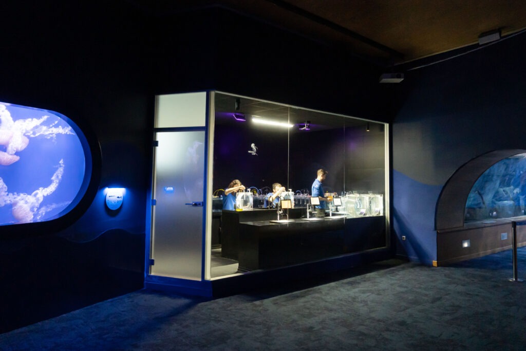 El Oceanogr fic Abre Al P blico Un Laboratorio Para Observar El Ciclo el-oceanogr-fic-abre-al-p-blico-un-laboratorio-para-observar-el-ciclo