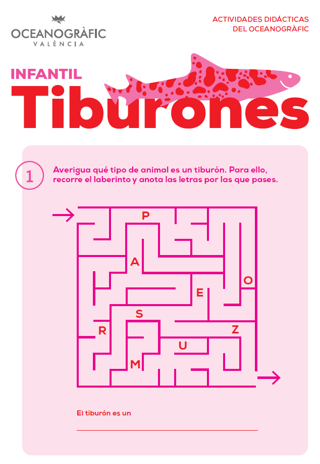 Actividades Tiburones Infantil
