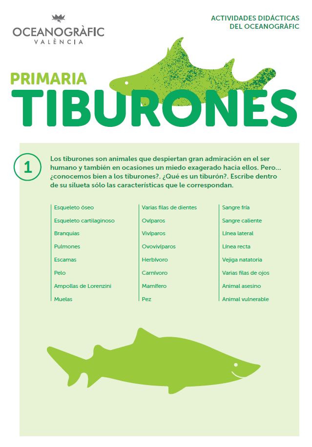 Actividades Tiburones Primaria