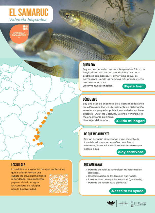 Fauna dulceaquícola
