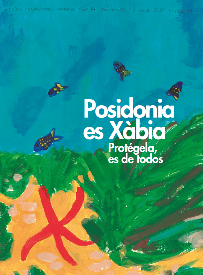 Desplegable Posidonia es Xàbia