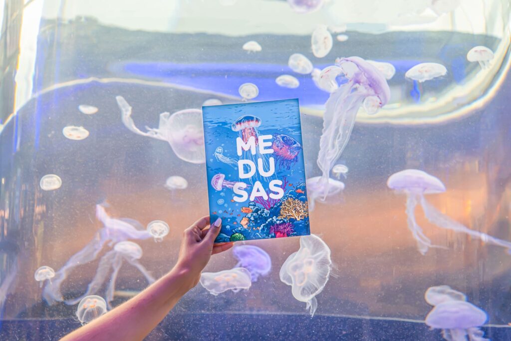 Desplegables medusas
