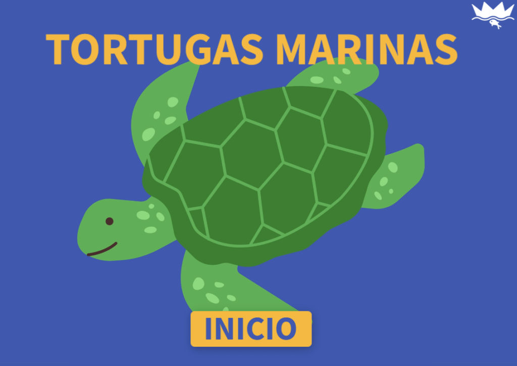 Guía tortugas marinas