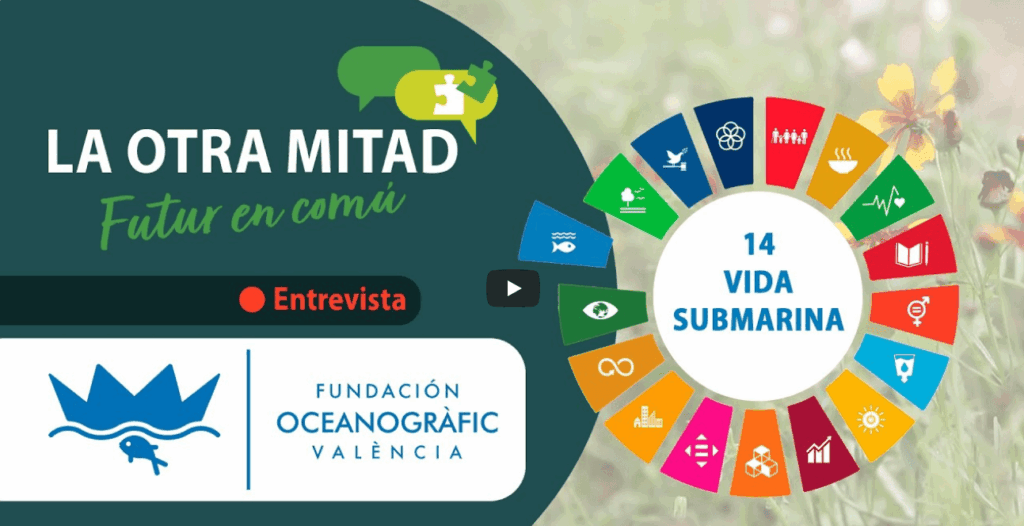 La otra mitad – Interpreta Natura ODS 14