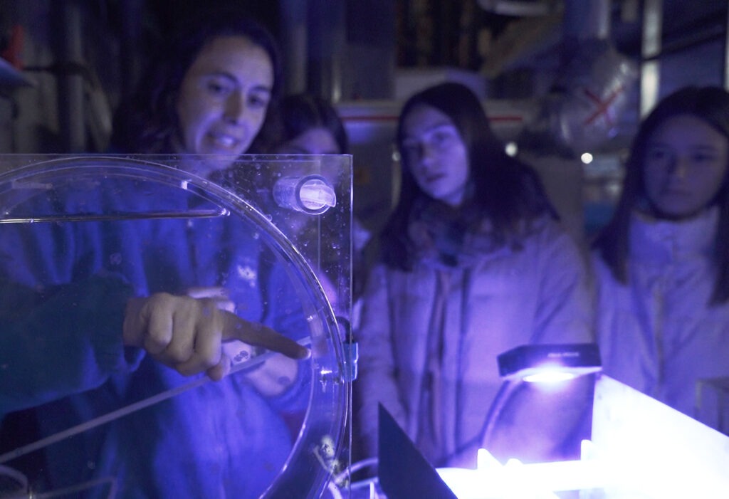 Medusas