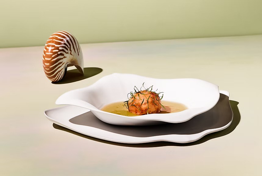 OCEANCOOK
